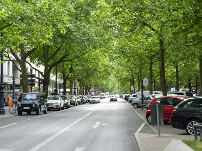 Verbände fordern Konjunkturprogramm für kommunales Grün