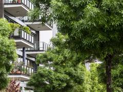 Die Zukunft der Städte ist grün: Fachkongress „Stadt.Plant.Grün“ mit Exkursionen