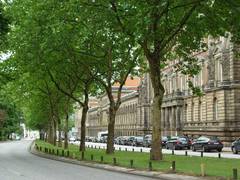 Die Leiden der Stadtbäume - Das richtige Sortiment wird immer wichtiger