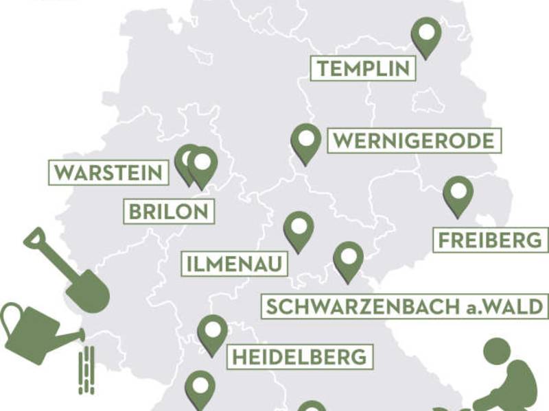 Wer wird PEFC-Waldhauptstadt 2025? Jetzt bewerben!