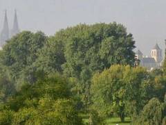 Köln für biologische Vielfalt