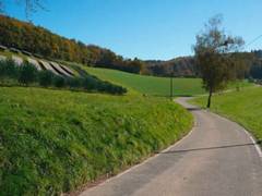 Solarparks mit 650 Megawattpeak Leistung geplant