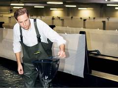 Deutschlands erster Großstadt-Fischer - Fabian Riedel aus Bayern züchtet Garnelen