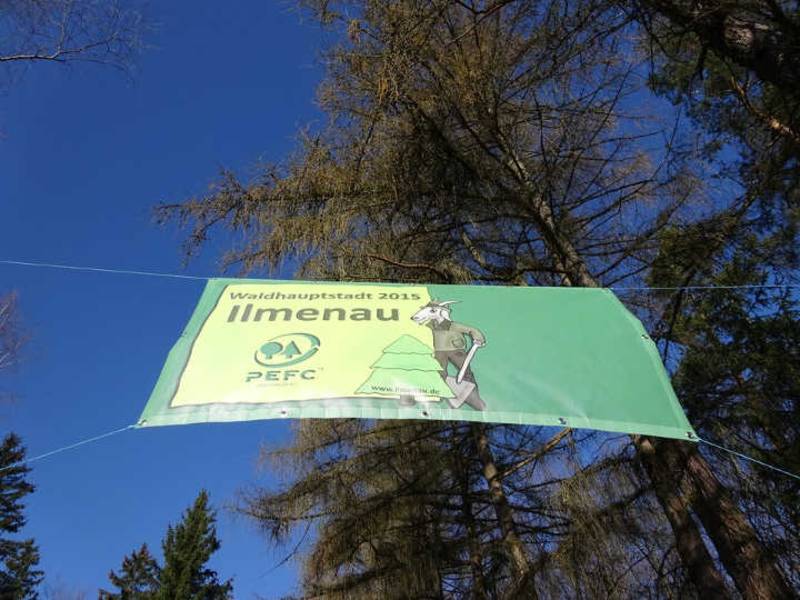 Wer wird Waldhauptstadt 2017? Jetzt bewerben!