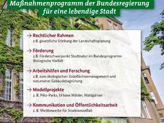 Bundeskabinett beschließt Masterplan Stadtnatur