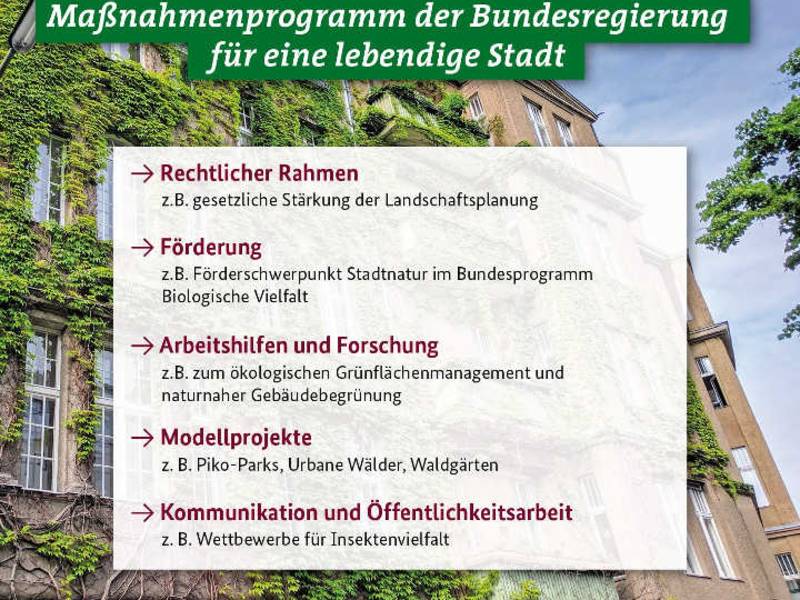 Bundeskabinett beschließt Masterplan Stadtnatur