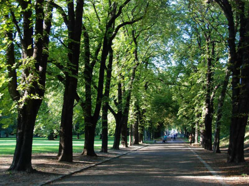 Kommunen sind gefordert: Stadtgrün ist Freiraum für verschiedenste Aktivitäten
