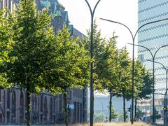 Der Bund deutscher Baumschulen fordert die Aufpflanzung von Gehölzen in Stadt und freier Natur