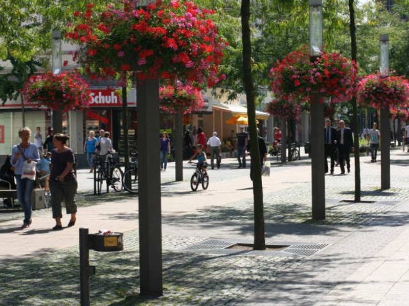 Studie an der Uni Wageningen zeigt Effekte von Grün in Innenstädten auf
