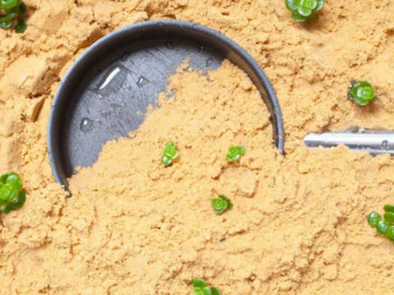 Kinder und Jugendliche haben zu viel PFAS im Blut
