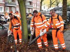 Laubschlacht: Pusten, fegen, saugen