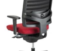 linea 3 D