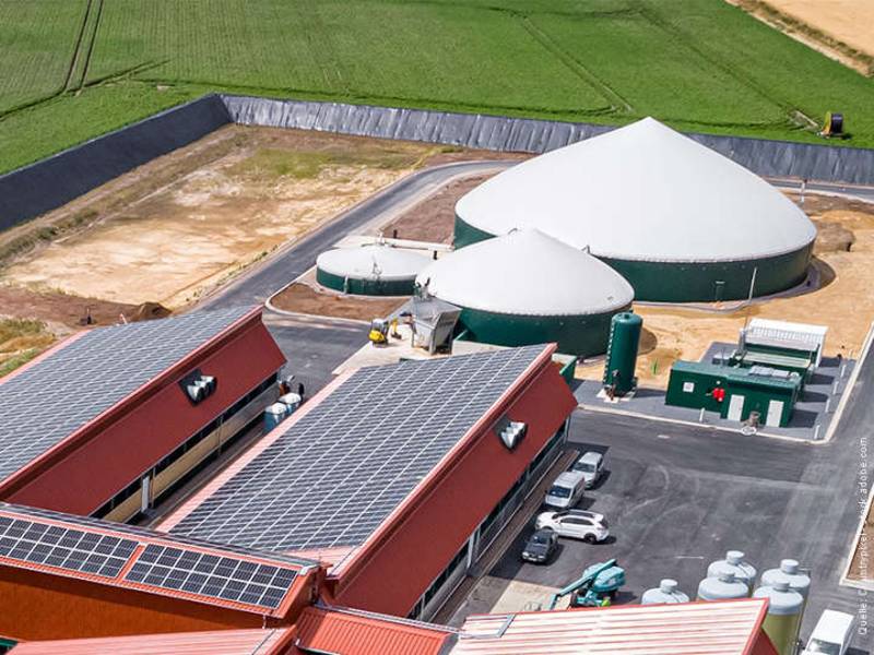 Netflex-Steuerung für Biogasanlagen