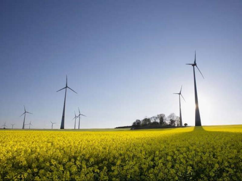Erneuerbare Energien deckten im Jahr 2021 rund 42 Prozent des Stromverbrauchs