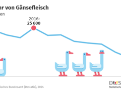 Zahl der Woche: Import von Gänsefleisch binnen zehn Jahren um 50,6 % zurückgegangen