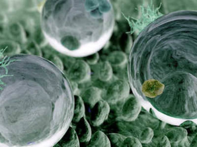 Nanotechnologie verändert unseren Alltag - Aktuelle Forschungsergebnisse veröffentlicht