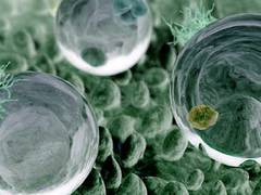 Nanotechnologie verändert unseren Alltag - Aktuelle Forschungsergebnisse veröffentlicht