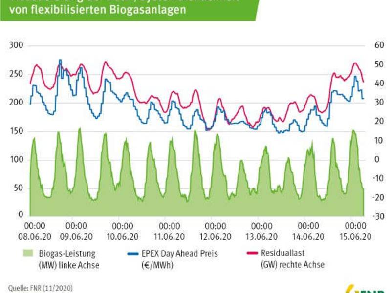 FNR erhebt Echtzeitdaten flexibler Biogas-Stromeinspeisung
