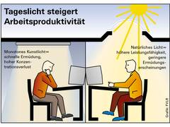 Tageslicht nutzen