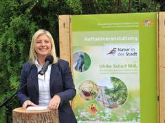 Neuer Leitfaden für grüne Stadtentwicklung im Klimawandel