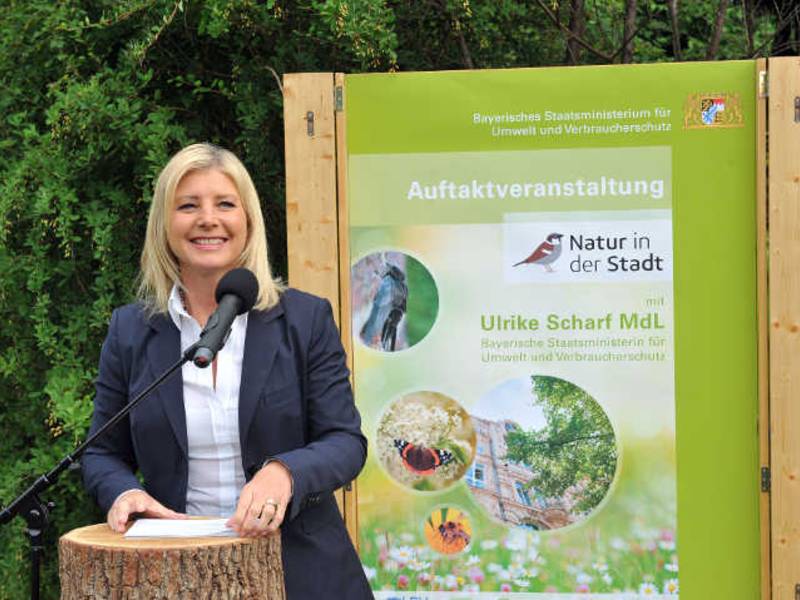 Neuer Leitfaden für grüne Stadtentwicklung im Klimawandel