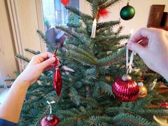 Wissenswertes rund um den Weihnachtsbaum