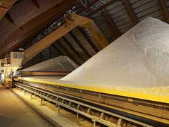 Bundesverband Flachglas (BF): Glas ist Natur pur