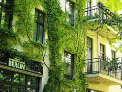 Stadtnatur – Grüne Klimaanlagen für Lebensqualität und Klimaschutz