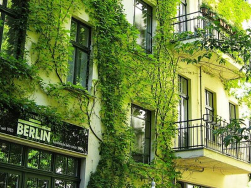 Stadtnatur – Grüne Klimaanlagen für Lebensqualität und Klimaschutz