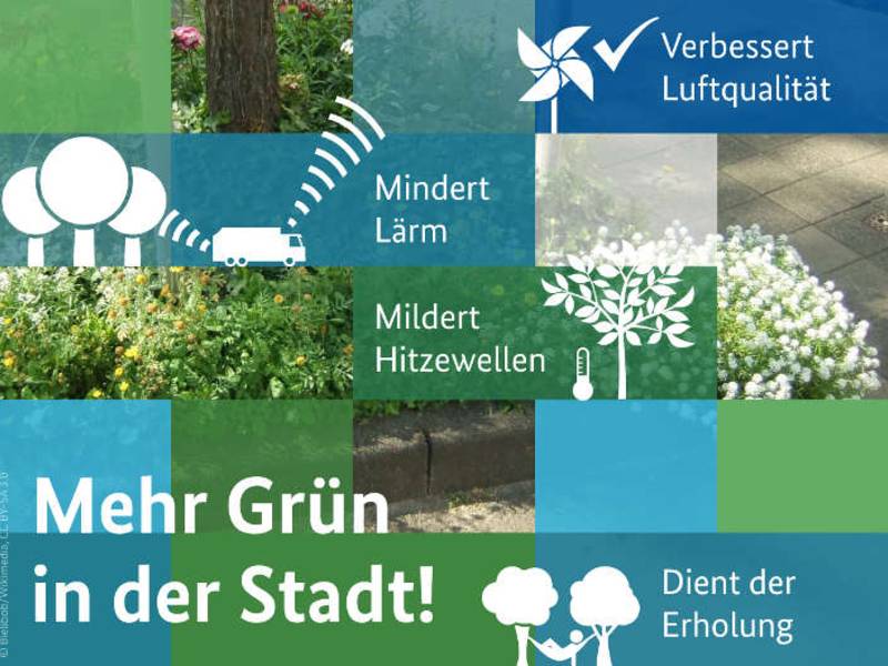 Hendricks stellte Weißbuch "Grün in der Stadt" vor