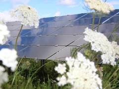 Landesweites Solarpark-Potenzial auf einen Blick