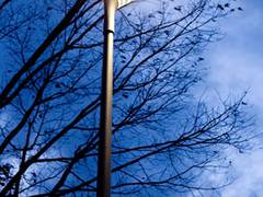 DL 10 LED-Außenleuchte von Siteco