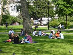 Die grüne Stadt: Urbanes Grün für Mensch und Umwelt