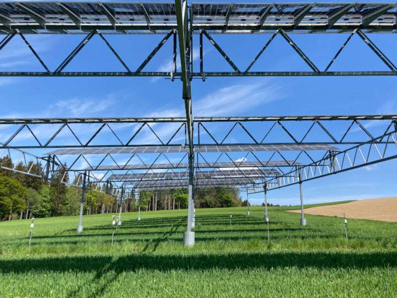 Agri-Photovoltaik: Letzte Hürden bremsen den Technologie-Schub aus