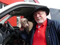 Spürhunde erschnüffeln Müllsünder