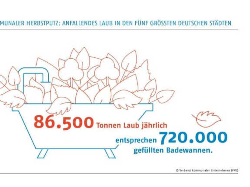 Kommunale Betriebe starten Herbstputz: Rund 86.500 Tonnen Laub allein in den fünf größten Städten