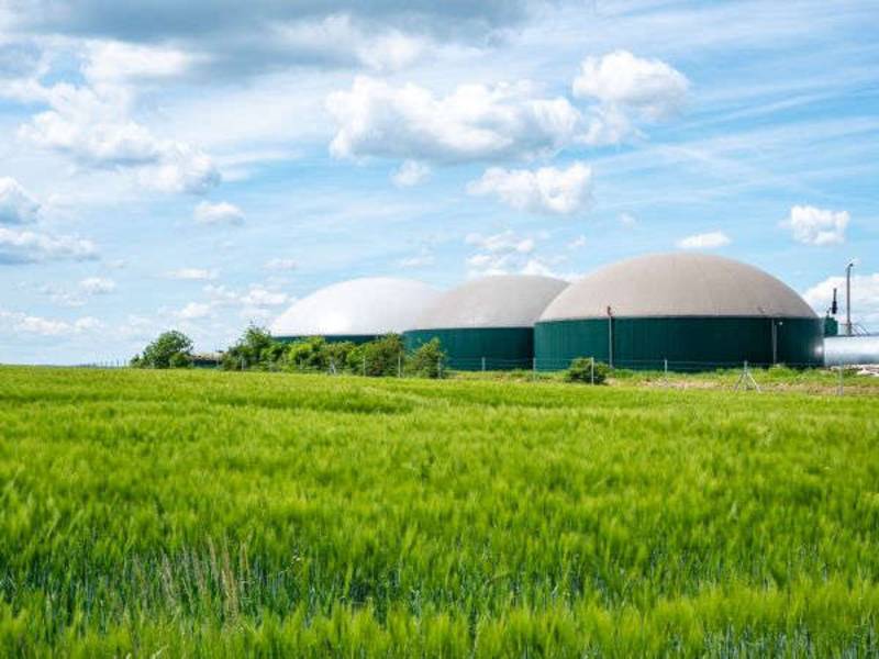 FNR auf der EnergyDecentral 2022