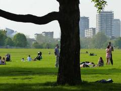 Grünes Neues Jahr: Klimaschutzabkommen umsetzen!