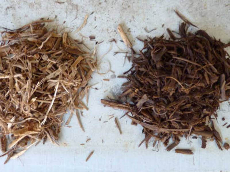 Biomasse effizient nutzen