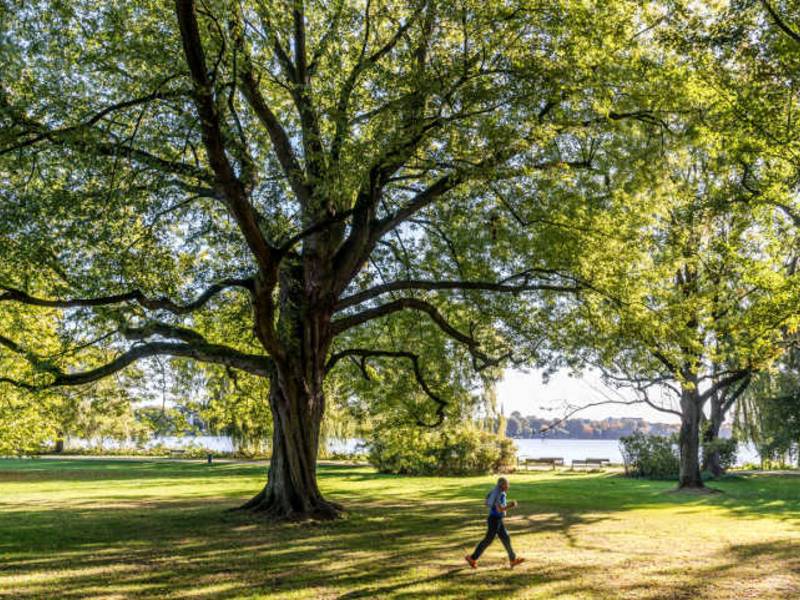 Es ist nicht 5 vor 12, sondern 5 nach 12: Mit Stadtgrün gegen den Klimawandel