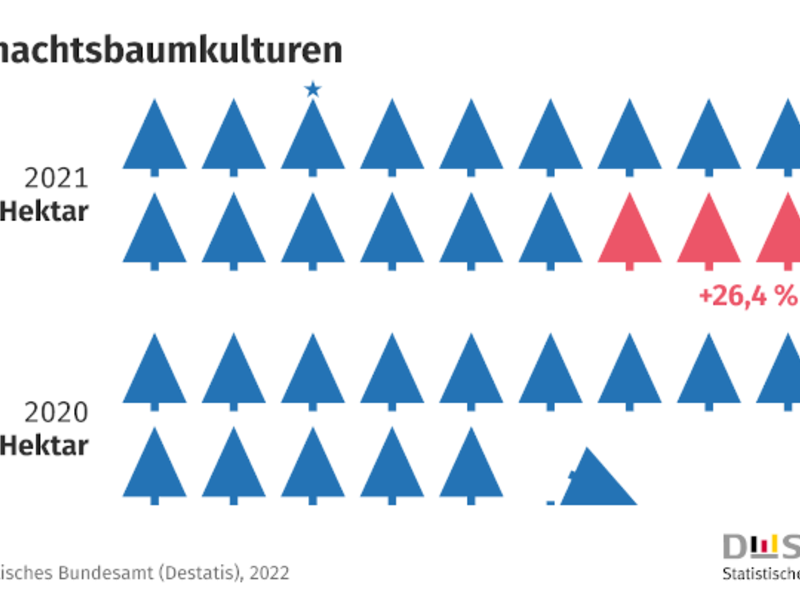 Fakten zum Fest