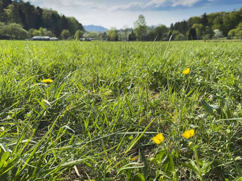 Vortragsreihe zum Wissenschaftsjahr 2020 – Bioökonomie