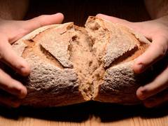 Bundesminister auf  Europäischer Friedensbrot-Konferenz in Ungarn