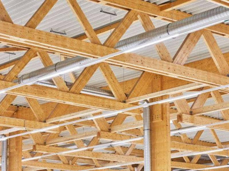 100% emissionsfreie, biobasierte Klebstoffe für tragende Holzwerkstoffe