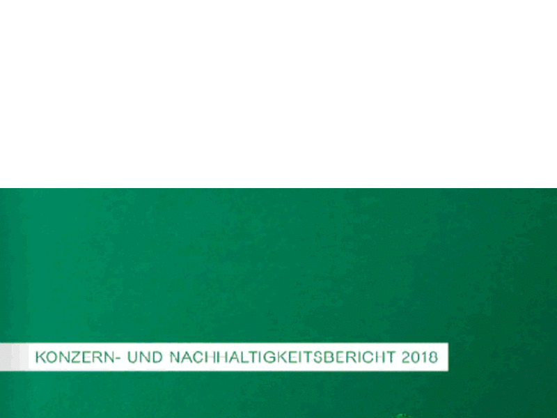 SRH veröffentlicht Konzern- und Nachhaltigkeitsbericht