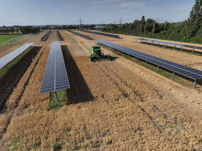TFZ veröffentlicht zweite Auflage des Agri-PV-Leitfadens