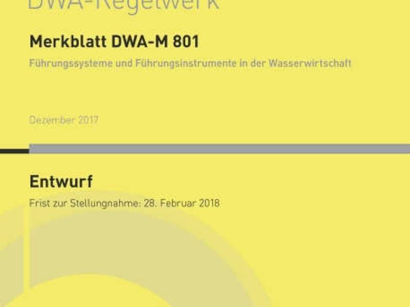 Führungssysteme und Führungsinstrumente in der Wasserwirtschaft