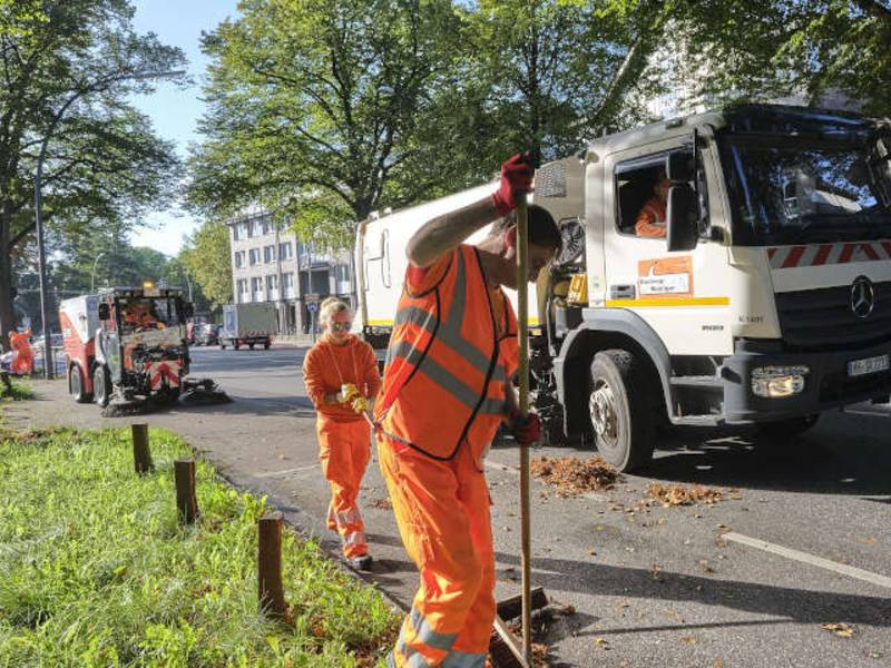 Sauberes Zeugnis für SRH und Hamburg