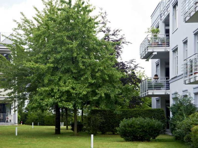 Nachhaltige Urbanisierung: Stadtgesellschaft braucht grün
