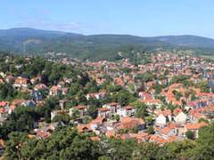 Kommunen zeigen Wege zu mehr Stadtnatur